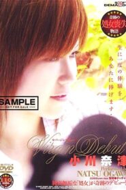 SDDM-515