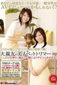 SDMS-356